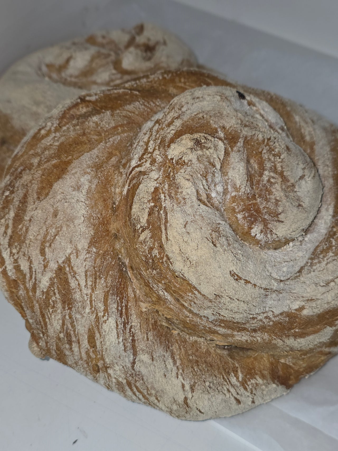 Round SourDough Challah